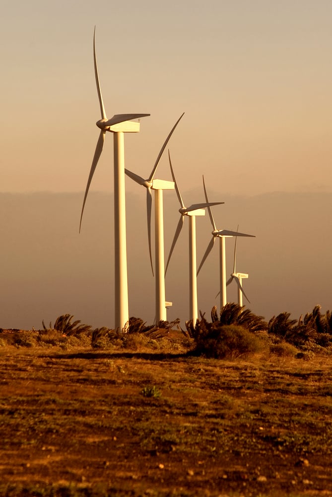 row of windmills at sunset time in the countryside